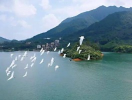 流溪河(流溪河奥莱小镇)