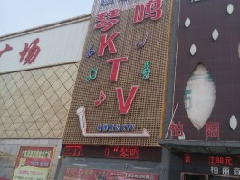 南阳娱乐场所开放最新通知消息电话(南阳娱乐场所开放最新通知消息电话查询)