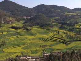 罗平旅游景点(罗平旅游景点大全)