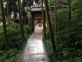 私家车峨眉山最好停到哪里(私家车峨眉山最好停到哪里去)