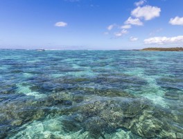 毛里求斯旅游攻略及花费(毛里求斯旅游需要花多少钱)