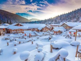 东北人冬天去哪里旅游(东北人冬天去哪里过冬好)