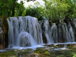去九寨沟要多少钱(去九寨沟要多少钱一个人)