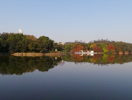 广州麓湖公园(广州麓湖公园收费吗)