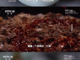 一部讲各地美食的综艺(一部讲各地美食的综艺叫什么)