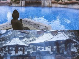 包含为什么说走就走的旅行总是泡汤的词条
