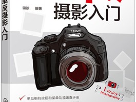 微单相机旅游拍照技巧(日常旅游拍照单反好还是微单好)