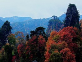 秦巴山(秦巴山脉在哪里)