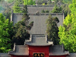 洛阳旅游攻略(洛阳旅游攻略三日游)