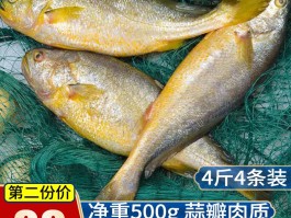 烧烤的海鱼有哪几种品种图片(烧烤的海鱼有哪几种品种图片及价格)