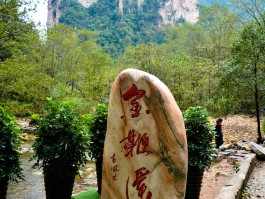 金鞭溪旅游日记(游金鞭溪作文400)
