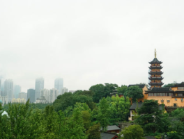 南京地湖所(南京地湖所顾维玮)