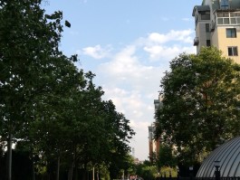 草桥(草桥小学)