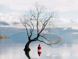 旅游不露脸拍照技巧视频教程(旅游不露脸拍照技巧视频教程下载)
