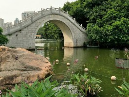 深圳荔枝公园(深圳荔枝公园可以摘荔枝吗)