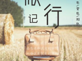 熊猫旅行日记破解版(熊猫日记ol破解版九游)