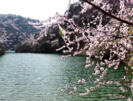 4月份去旅游哪里合适(4月份去旅游哪里合适一点)