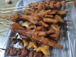 野馄饨烧烤都有哪些品种的(野馄饨烧烤都有哪些品种的好吃)