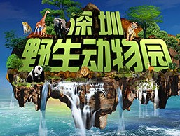深圳野生动物园门票(深圳野生动物园门票哪里买便宜)