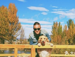 小伙带俩狗子自驾旅行(带上狗狗的自驾i游的游记)