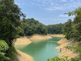 流溪河国家森林公园(流溪河国家森林公园图片)