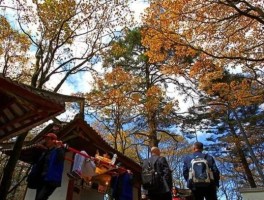 70岁老人免费旅游政策(70岁老人免费旅游政策起源于哪个城市)