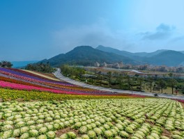 长泰旅游必去十大景点(长泰旅游必去十大景点有哪些)