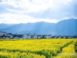 毕业季就要来场说走就走的旅行(毕业季就要来场说走就走的旅行文案)