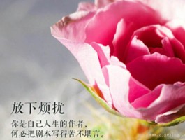 旅行结束开始上班的心情说说(旅行结束开始上班的心情说说短句)