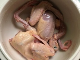 鸽子汤怎么做(鸽子汤怎么做补气补血)
