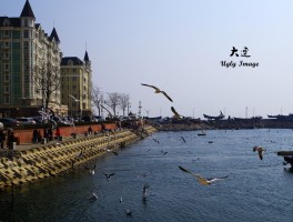 大连旅游(大连旅游景点有哪些)