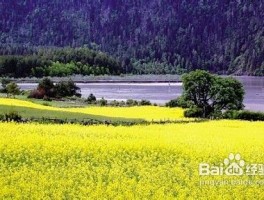 坐火车可以去哪里旅游(坐火车去哪里旅游的英文)