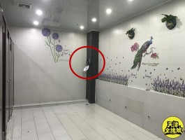 包含北京鸟洞的词条