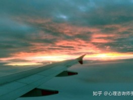 包含说走就走丨这才是旅行的意义的词条