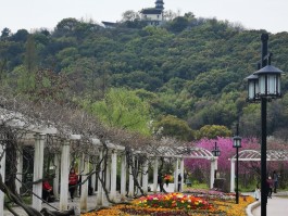 上方山国家森林公园(上方山国家森林公园作文)