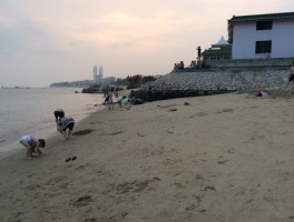 厦门鼓浪屿旅行日记(厦门鼓浪屿一日游作文500字)