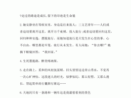 适合表达旅行心情的歌曲(适合表达旅行心情的歌曲大全)