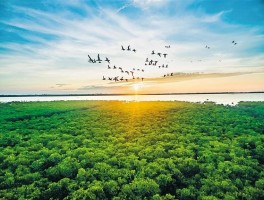 最新农业旅游资讯(最新农业旅游资讯报道)