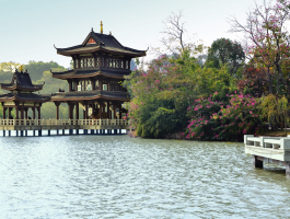 惠州旅游景点(广东惠州旅游景点)