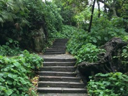 旅游景点台阶拍照技巧图解视频(台阶拍照姿势的摆法)