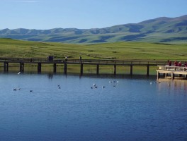 巴音布鲁克天鹅湖(巴音布鲁克天鹅湖景区)
