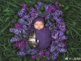 关于拍新生儿摄影的经验和技巧的信息