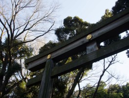 明治神宫(明治神宫婚礼)