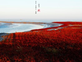 九月底最值得去的旅行地方有哪些(九月底最值得去的旅行地方有哪些景点)