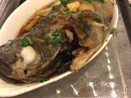 清蒸石斑鱼是哪里的菜(清蒸石斑鱼是哪里的菜啊)