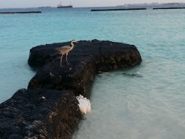 与宝贝的一次说走就走的旅行(与宝贝的一次说走就走的旅行的说说)
