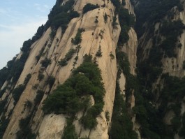 华山攻略(夜爬华山攻略)