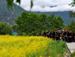 林芝旅游(林芝旅游景点大全)