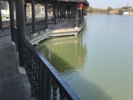 沙家浜在哪个省哪个市(沙家浜在哪个省哪个市哪个区)