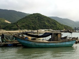 荷包岛旅游美食攻略(荷包岛旅游美食攻略大全)